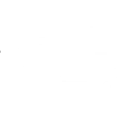 FAST SHIPPING